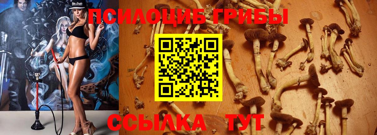 купить закладку  Галлюциногенные грибы Cubensis  Кирово-Чепецк  Вход с VPN  Галлюциногенные грибы Magic Shrooms 